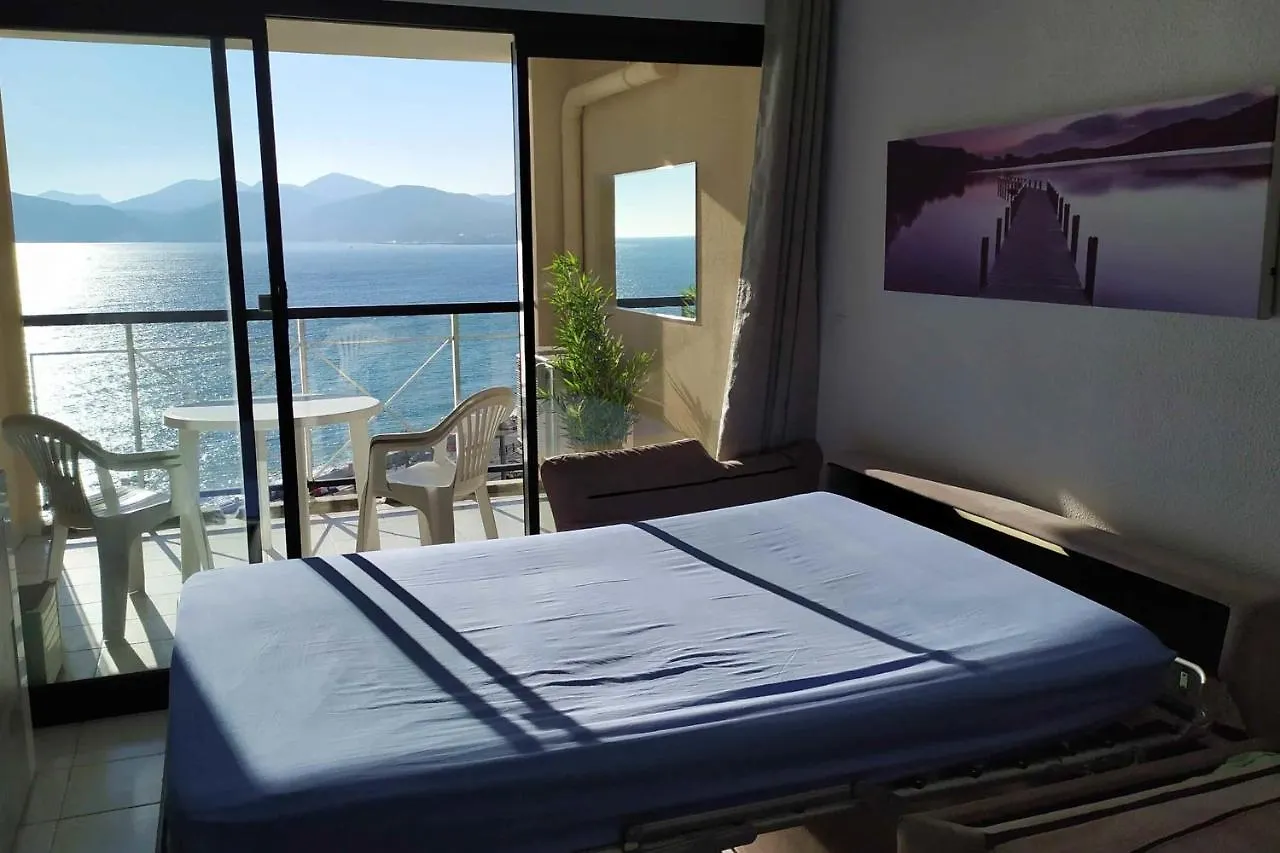 Nice Apartment With Sea View And Balcony Cannes