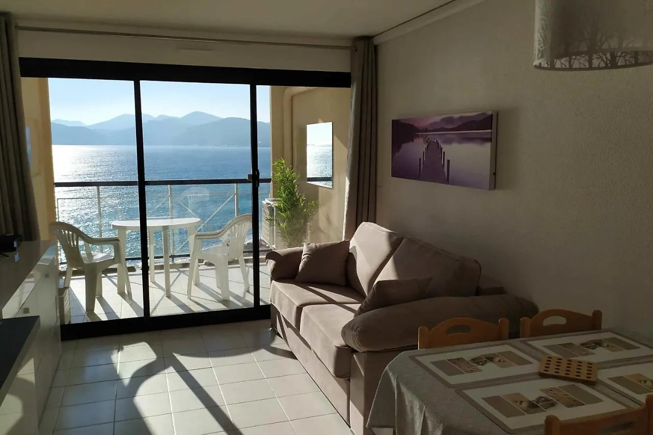 Nice Apartment With Sea View And Balcony Cannes